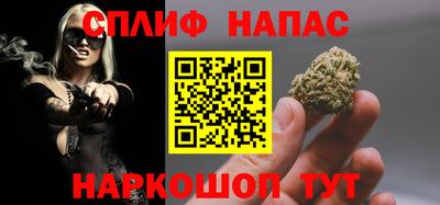 МДПВ Славгород