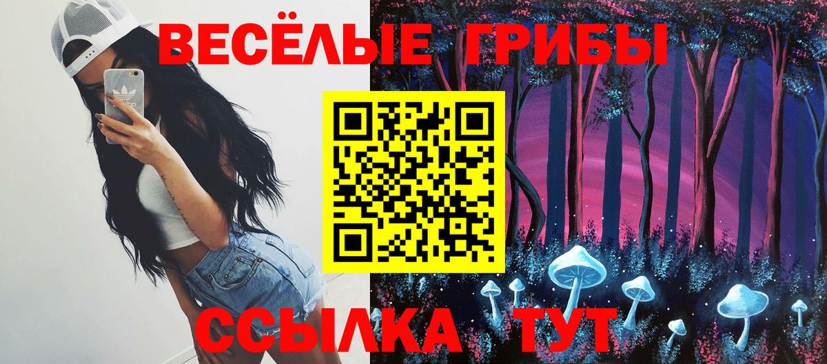 Орехово-Зуево  сколько стоит  Вход с VPN  Галлюциногенные грибы Psilocybe 