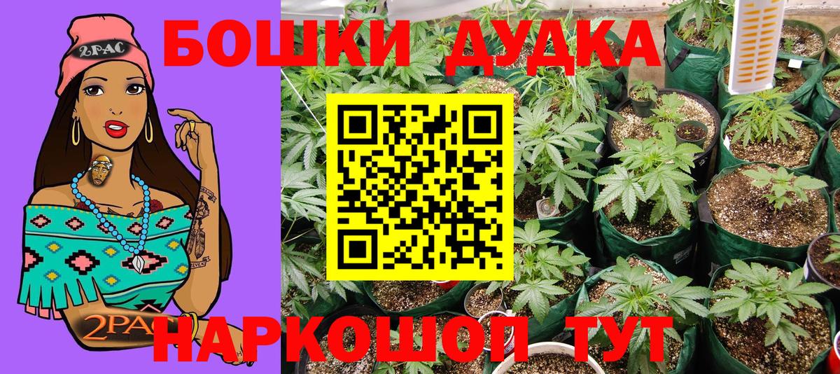 Орехово-Зуево  Канабис индика  Канабис планчик  Шишки марихуана ГИДРОПОН  Вход с VPN 